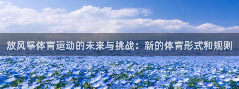 放风筝体育运动的未来与挑战：新的体育形式和规则
