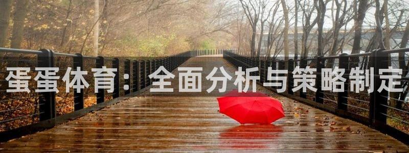蛋蛋体育：全面分析与策略制定
