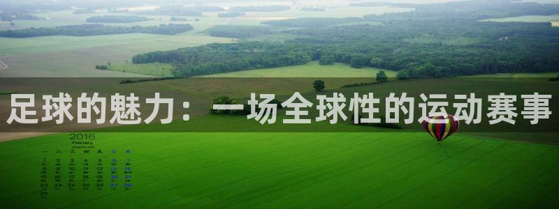 足球的魅力：一场全球性的运动赛事