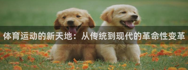 体育运动的新天地：从传统到现代的革命性变革