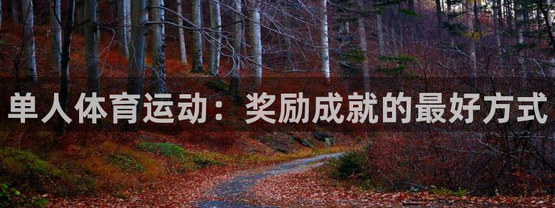 单人体育运动：奖励成就的最好方式