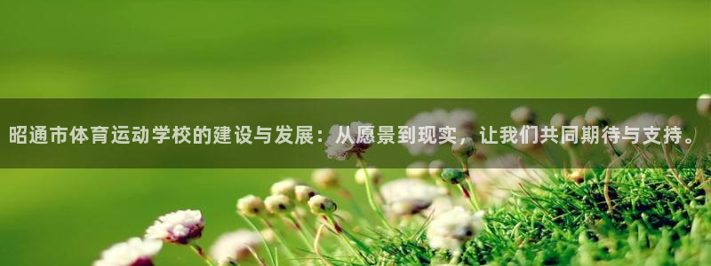 昭通市体育运动学校的建设与发展：从愿景到现实，让我们共同期待与支持。