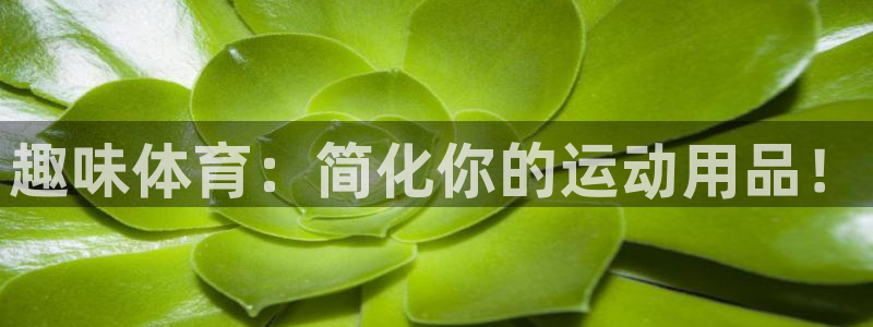 趣味体育：简化你的运动用品！