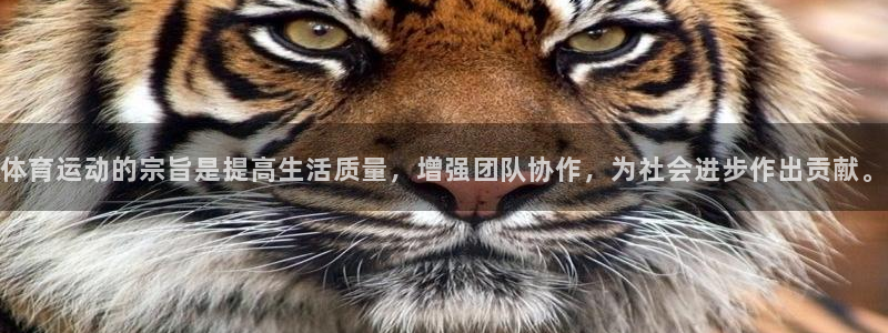 体育运动的宗旨是提高生活质量，增强团队协作，为社会进步作出贡献。
