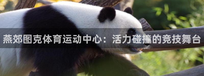 燕郊图克体育运动中心：活力碰撞的竞技舞台
