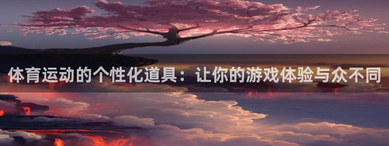 体育运动的个性化道具：让你的游戏体验与众不同